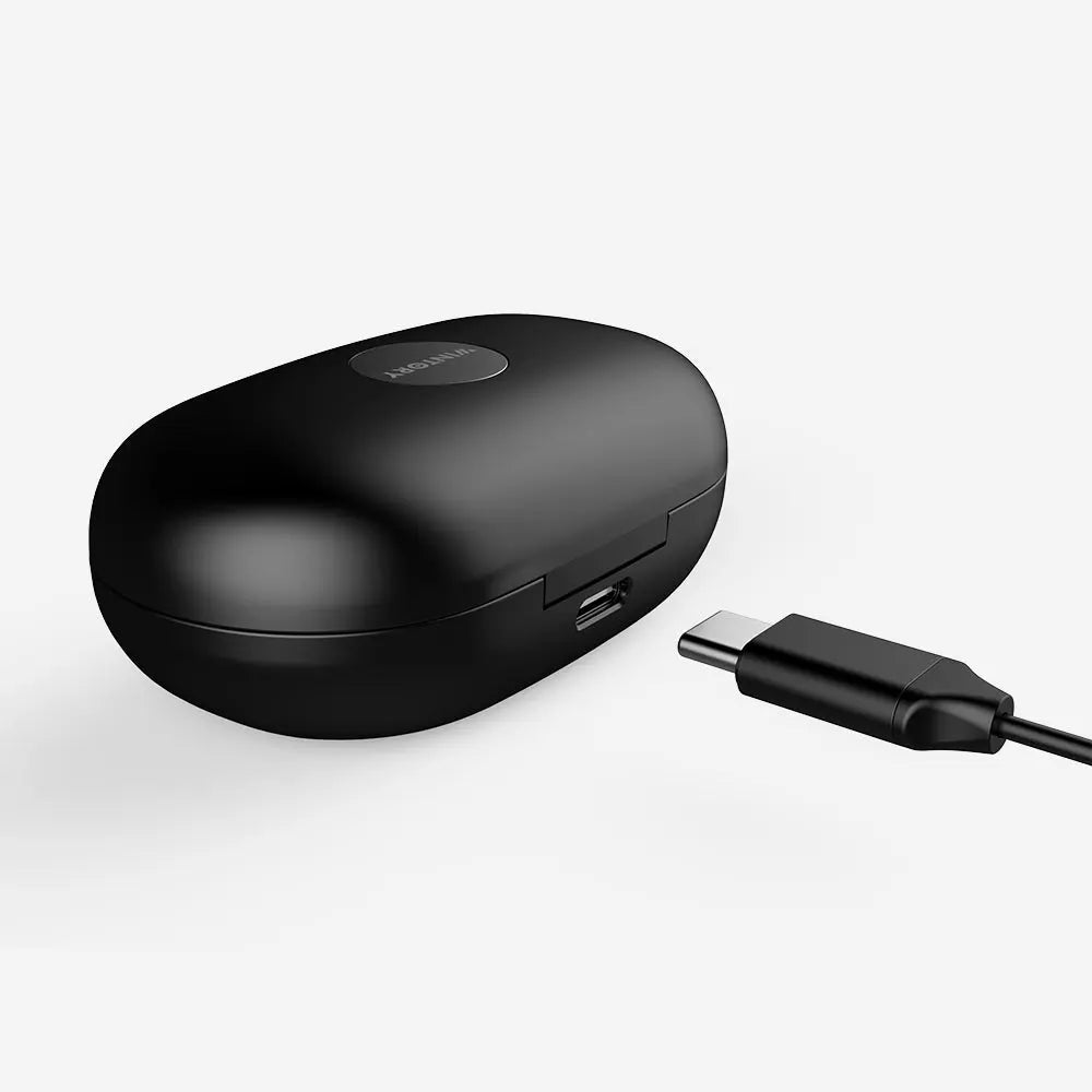 Pod 1 True Earbuds Wintory